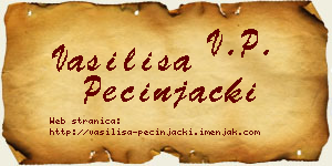 Vasilisa Pecinjački vizit kartica